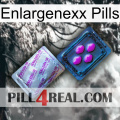 Enlargenexx Pills 37